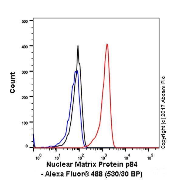 Flow Cytometry (Intracellular) - Anti-Nuclear Matrix Protein p84 antibody [EPR5662(2)] - BSA and Azide free (AB232034), expandable thumbnail
