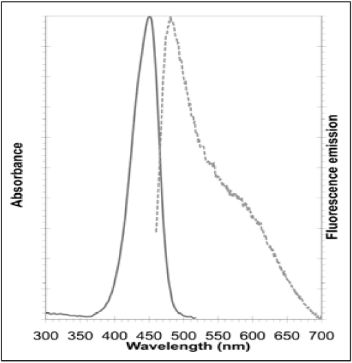 Fluorescence Microscopy - Nucleolar Staining Kit - Green Fluorescence - Cytopainter (AB139475)