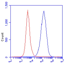 Flow Cytometry - Anti-Nucleolin antibody [364-5] (AB136649)