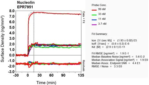 OI-RD Scanning - Anti-Nucleolin antibody [EPR7951] - BSA and Azide free (AB248709)