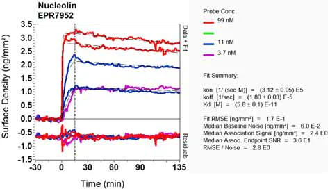 OI-RD Scanning - Anti-Nucleolin antibody [EPR7952] - BSA and Azide free (AB226113)