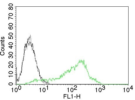Flow Cytometry - Anti-Nucleolin antibody [NCL/902] - BSA and Azide free (AB216006), expandable thumbnail