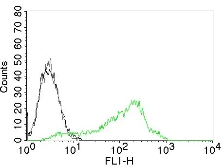 Flow Cytometry - Anti-Nucleolin antibody [NCL/902] - BSA and Azide free (AB216006)