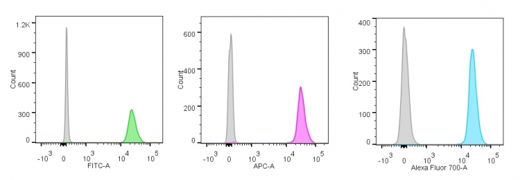 Flow Cytometry - Anti-Nucleolin antibody [NCL/902] - BSA and Azide free (AB216006), expandable thumbnail
