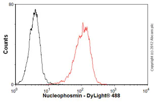Flow Cytometry (Intracellular) - Anti-Nucleophosmin antibody [3A9F1] (AB86712)
