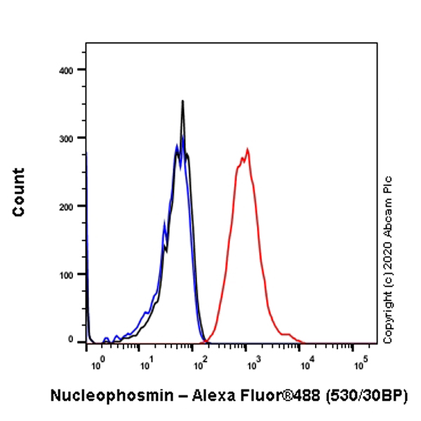 Anti-Nucleophosmin antibody [EP1848Y] (ab52644) | Abcam
