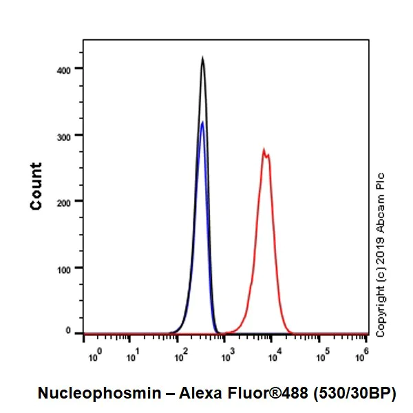 Flow Cytometry (Intracellular) - Anti-Nucleophosmin antibody [NA24] (BSA and Azide free) (AB256124)