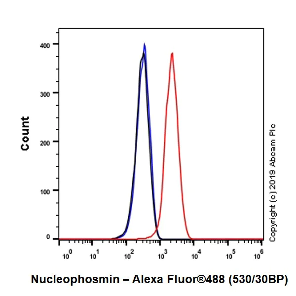 Flow Cytometry (Intracellular) - Anti-Nucleophosmin antibody [NA24] (BSA and Azide free) (AB256124)