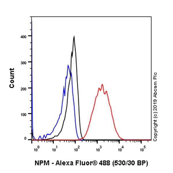 Flow Cytometry (Intracellular) - Anti-Nucleophosmin antibody [SP236] (AB183340)