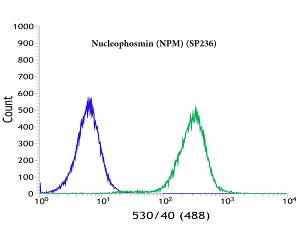 Flow Cytometry (Intracellular) - Anti-Nucleophosmin antibody [SP236] - BSA and Azide free (AB245744)