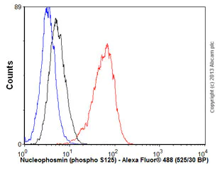 Flow Cytometry (Intracellular) - Anti-Nucleophosmin (phospho S125) antibody [EPR1856] - BSA and Azide free (AB247905)