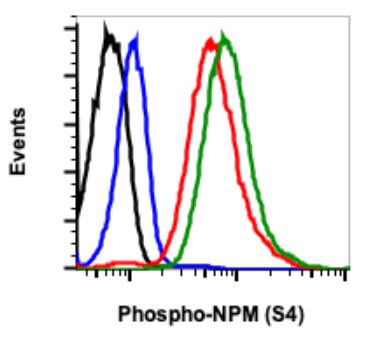 Flow Cytometry - Anti-Nucleophosmin (phospho S4) antibody [NPMS4-A1] (AB278648), expandable thumbnail