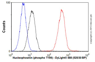 Flow Cytometry (Intracellular) - Anti-Nucleophosmin (phospho T199) antibody [EP1857Y] (AB81551)