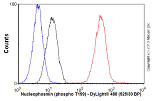 Flow Cytometry (Intracellular) - Anti-Nucleophosmin (phospho T199) antibody [EP1857Y] - BSA and Azide free (AB208698), expandable thumbnail