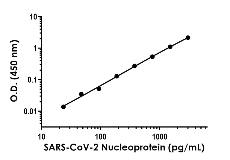 Sandwich ELISA - Anti-Nucleoprotein antibody [EPR24334-11] - BSA and Azide free (Capture) (AB309553)
