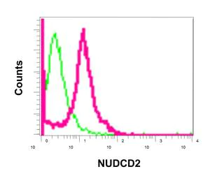Flow Cytometry (Intracellular) - Anti-NUDCD2 antibody [EPR11558] - BSA and Azide free (AB249691)