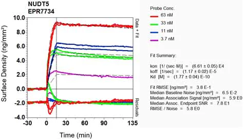 OI-RD Scanning - Anti-NUDT5 antibody [EPR7734] (AB129172)