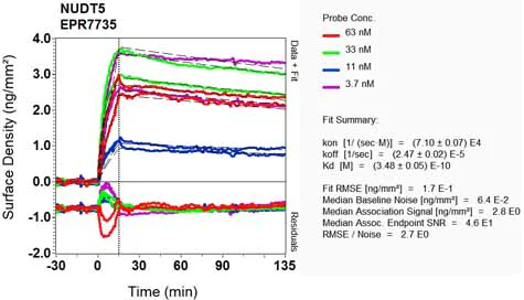OI-RD Scanning - Anti-NUDT5 antibody [EPR7735] (AB129163)