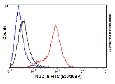 Flow Cytometry (Intracellular) - Anti-NUDT9 antibody [EPR15175] (AB197021)