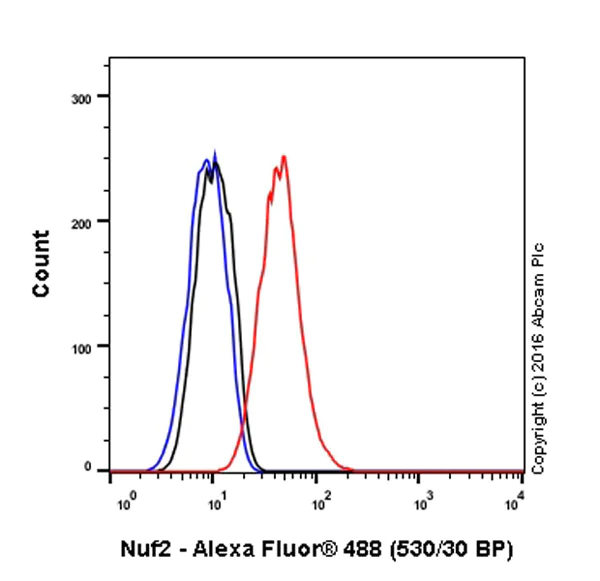Flow Cytometry (Intracellular) - Anti-Nuf2 antibody [EPR13018(B)] - BSA and Azide free (AB238970)