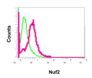 Flow Cytometry (Intracellular) - Anti-Nuf2 antibody [EPR13018(B)] - BSA and Azide free (AB238970)