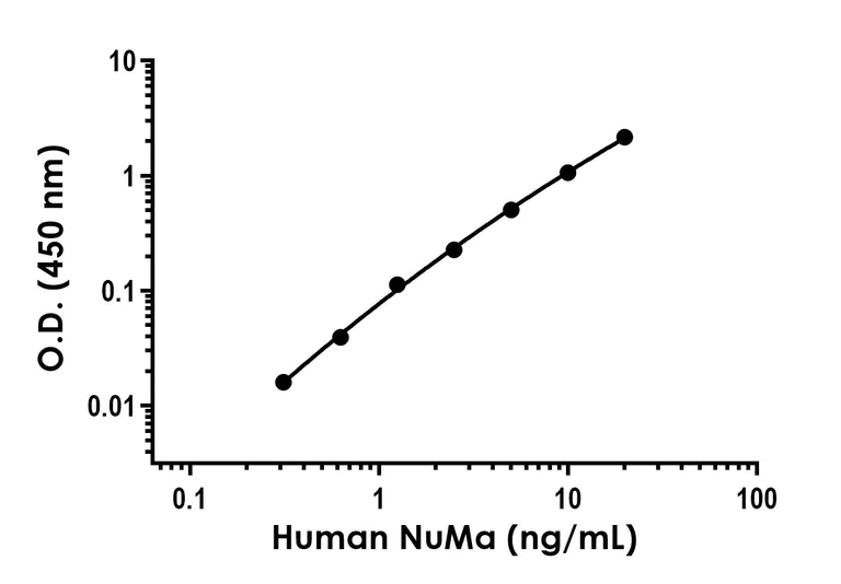 Sandwich ELISA - Anti-NuMA antibody [EPR24096-203] - BSA and Azide free (Capture) (AB282268)