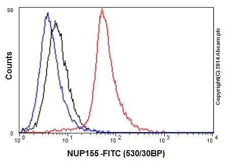 Flow Cytometry (Intracellular) - Anti-NUP155 antibody [EPR17111] - BSA and Azide free (AB251277)