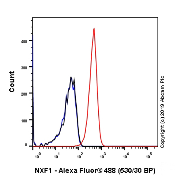Anti-NXF1 antibody [EPR8009] (ab129160) | Abcam
