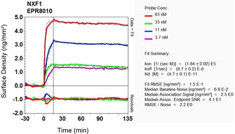 OI-RD Scanning - Anti-NXF1 antibody [EPR8010] (AB129171)