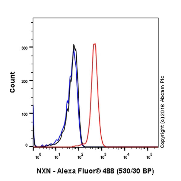 Flow Cytometry (Intracellular) - Anti-NXN/NRX antibody [EPR15177] (ab191429), expandable thumbnail