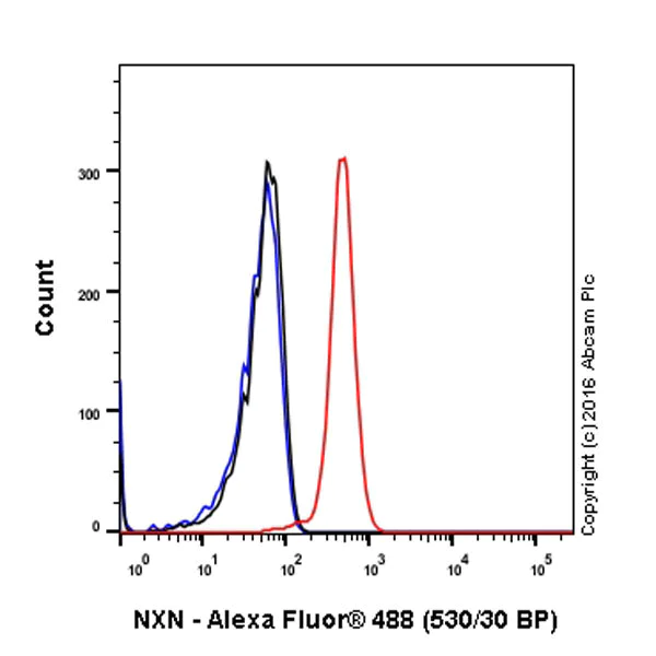 Flow Cytometry (Intracellular) - Anti-NXN/NRX antibody [EPR15177] - BSA and Azide free (AB251080)