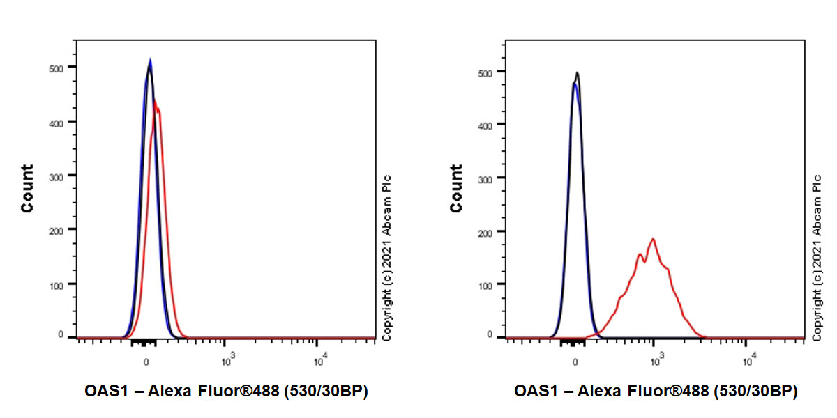 Flow Cytometry (Intracellular) - Anti-OAS1 antibody [EPR24824-162] (AB272492)