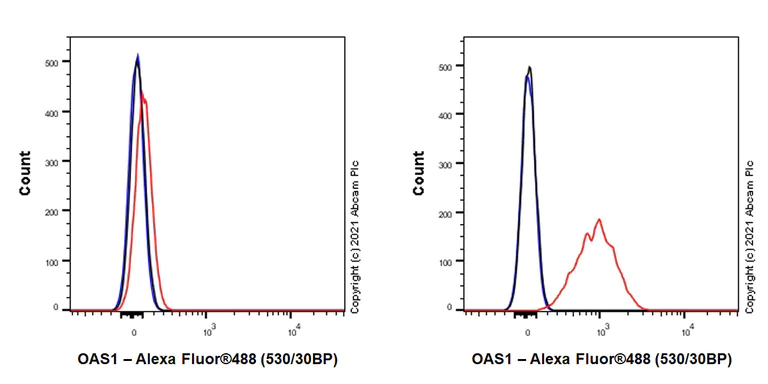 Flow Cytometry (Intracellular) - Anti-OAS1 antibody [EPR24824-162] (AB272492)