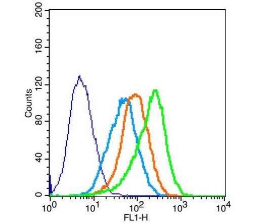 Flow Cytometry - Anti-Occludin antibody (AB222691)