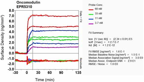 OI-RD Scanning - Anti-OCM2 antibody [EPR5310] - BSA and Azide free (AB247929), expandable thumbnail