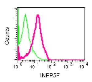 Flow Cytometry (Intracellular) - Anti-OCRL antibody [EP10256] - BSA and Azide free (AB284833)