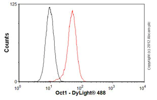 Flow Cytometry - Anti-Oct-1 antibody [POU5I097] (AB51363)