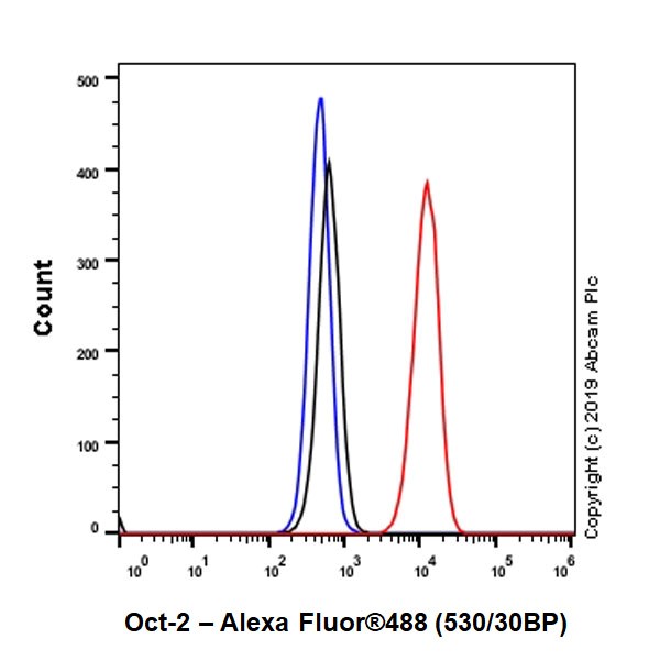 Flow Cytometry (Intracellular) - Anti-Oct-2 antibody [9A2] (AB243153)