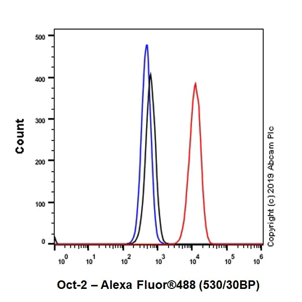 Flow Cytometry (Intracellular) - Anti-Oct-2 antibody [9A2] - BSA and Azide free (AB252246)