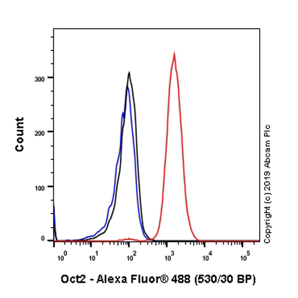 Flow Cytometry (Intracellular) - Anti-Oct-2 antibody [EPR12482] (AB179808)