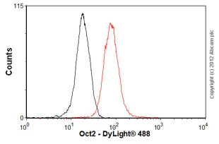 Flow Cytometry (Intracellular) - Anti-Oct-2 antibody [EPR542] (AB92458)
