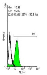 Flow Cytometry - Anti-Oct4 antibody (AB137427), expandable thumbnail