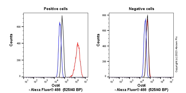 Flow Cytometry (Intracellular) - Anti-Oct4 antibody [EPR17929] - ChIP Grade - BSA and Azide free (ab271937), expandable thumbnail