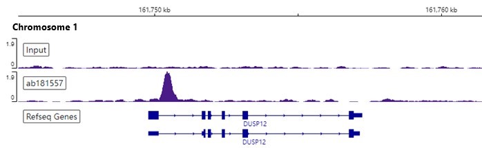 ChIP-sequencing - Anti-Oct4 antibody [EPR17929] - Low endotoxin, Azide free (ab215386), expandable thumbnail