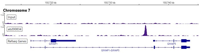 ChIP-sequencing - Anti-Oct4 antibody [EPR17980] - BSA and Azide free (ab240358), expandable thumbnail