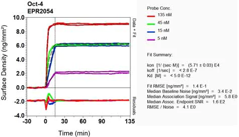 OI-RD Scanning - Anti-Oct4 antibody [EPR2054] (AB109183)