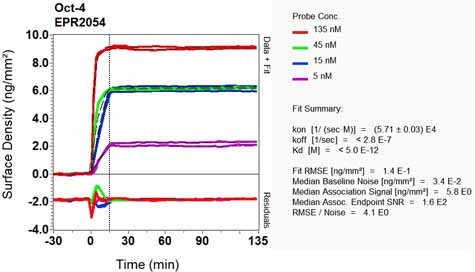 OI-RD Scanning - Anti-Oct4 antibody [EPR2054] - BSA and Azide free (ab222233), expandable thumbnail