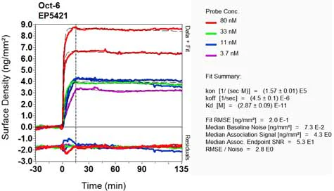 OI-RD Scanning - Anti-Oct6 antibody [EP5421] - BSA and Azide free (AB248163)