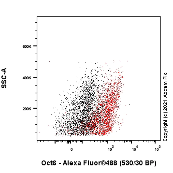 Flow Cytometry (Intracellular) - Anti-Oct6 antibody [EPR24057-94] - BSA and Azide free (AB281842)