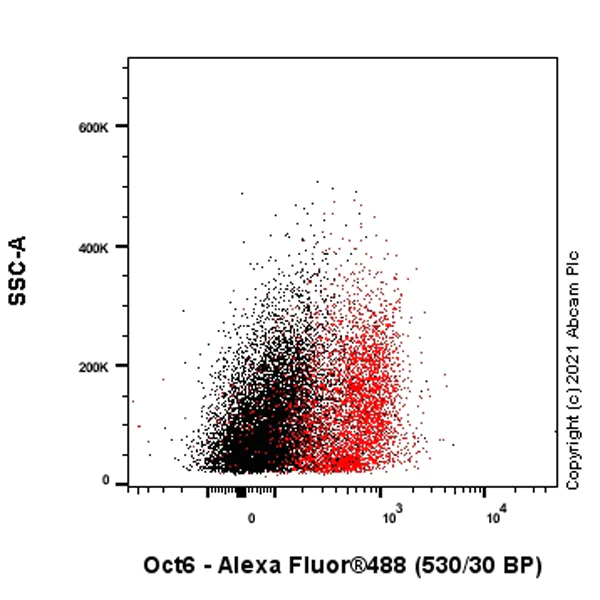 Flow Cytometry (Intracellular) - Anti-Oct6 antibody [EPR24057-94] - BSA and Azide free (AB281842)